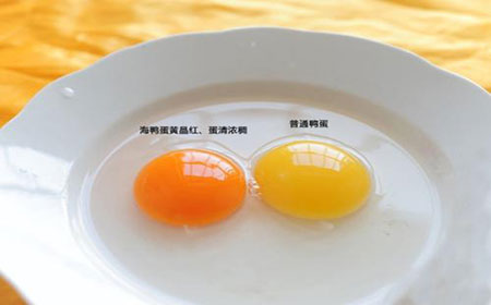 烤鸭蛋和咸鸭蛋有哪些区别？鸭蛋美食点评