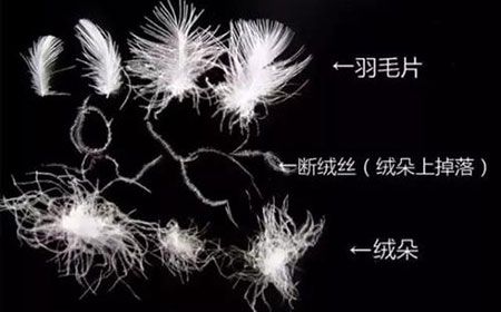 我们常用的鸭绒有哪些优缺点？