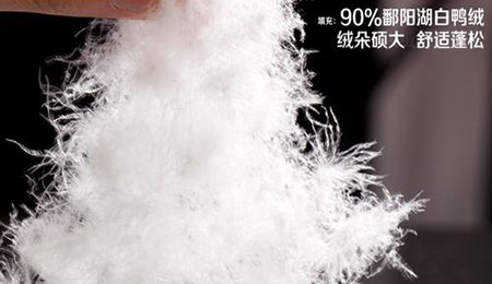我们常用的鸭绒有哪些优缺点？
