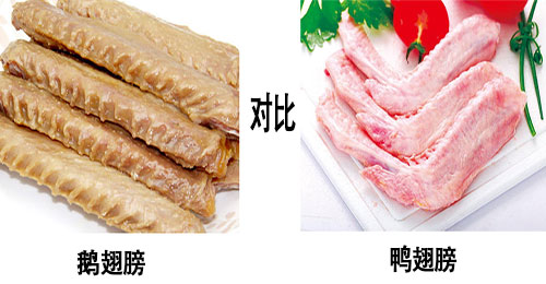 鸭翅与鹅翅营养价值有哪些区别？
