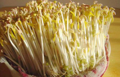 鸭肉丝绿豆芽有食疗功效？