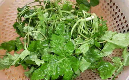 鸭掌草是什么? 有哪些食用价值