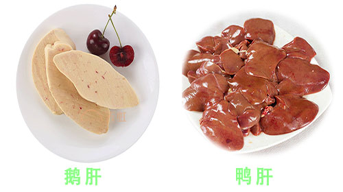 鸭肝和鹅肝有哪些区别？